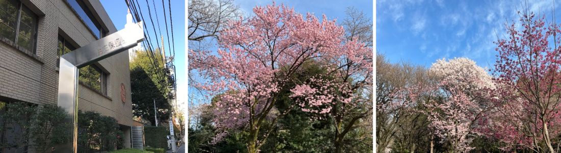 全国保護司連盟について