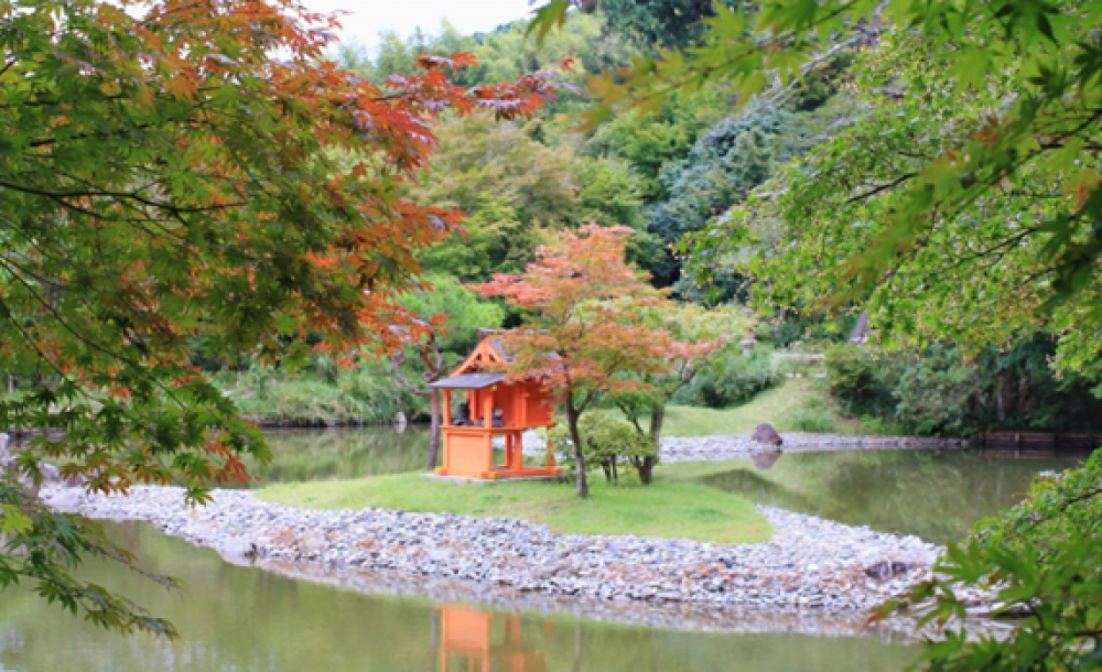 写真23-1浄瑠璃寺