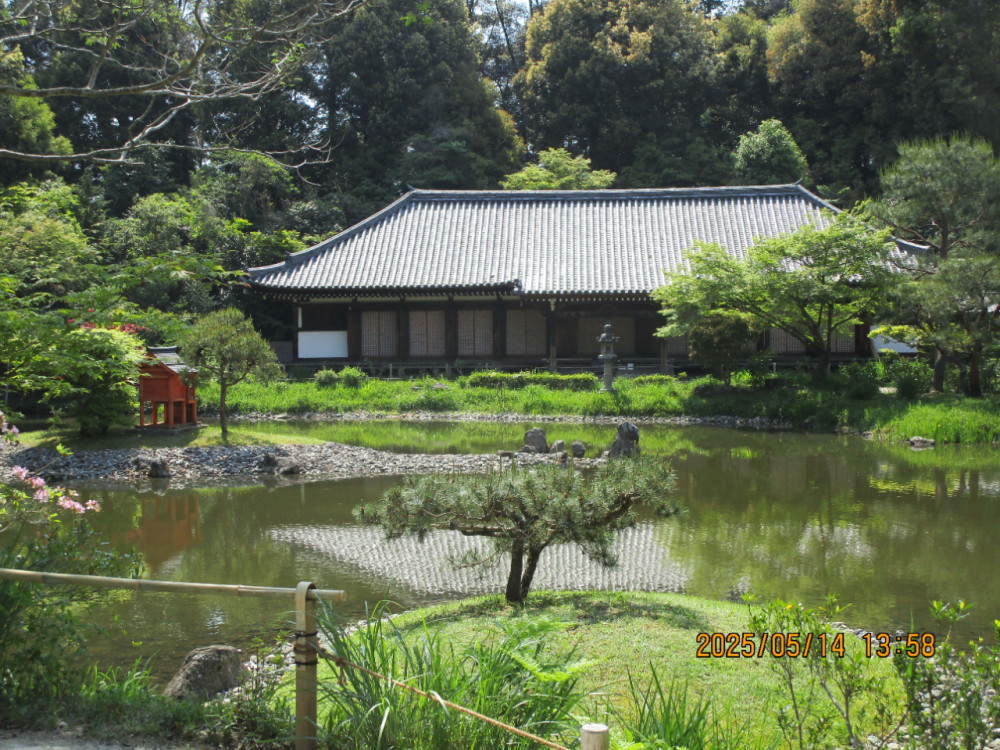 （写真１）浄瑠璃寺