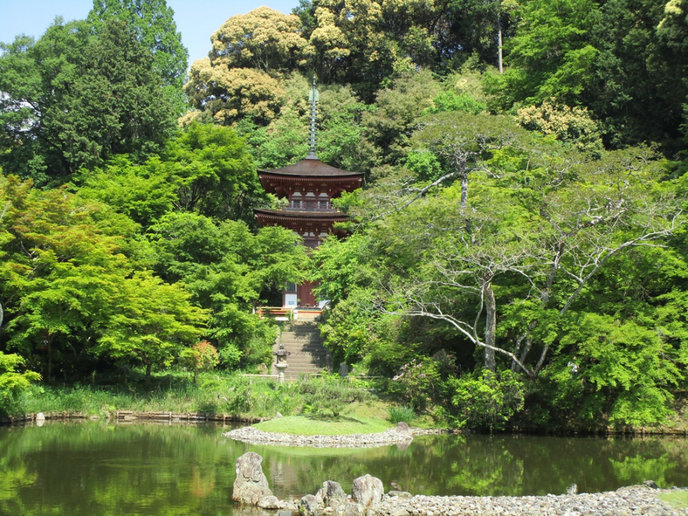 (写真4)浄瑠璃寺 三重塔
