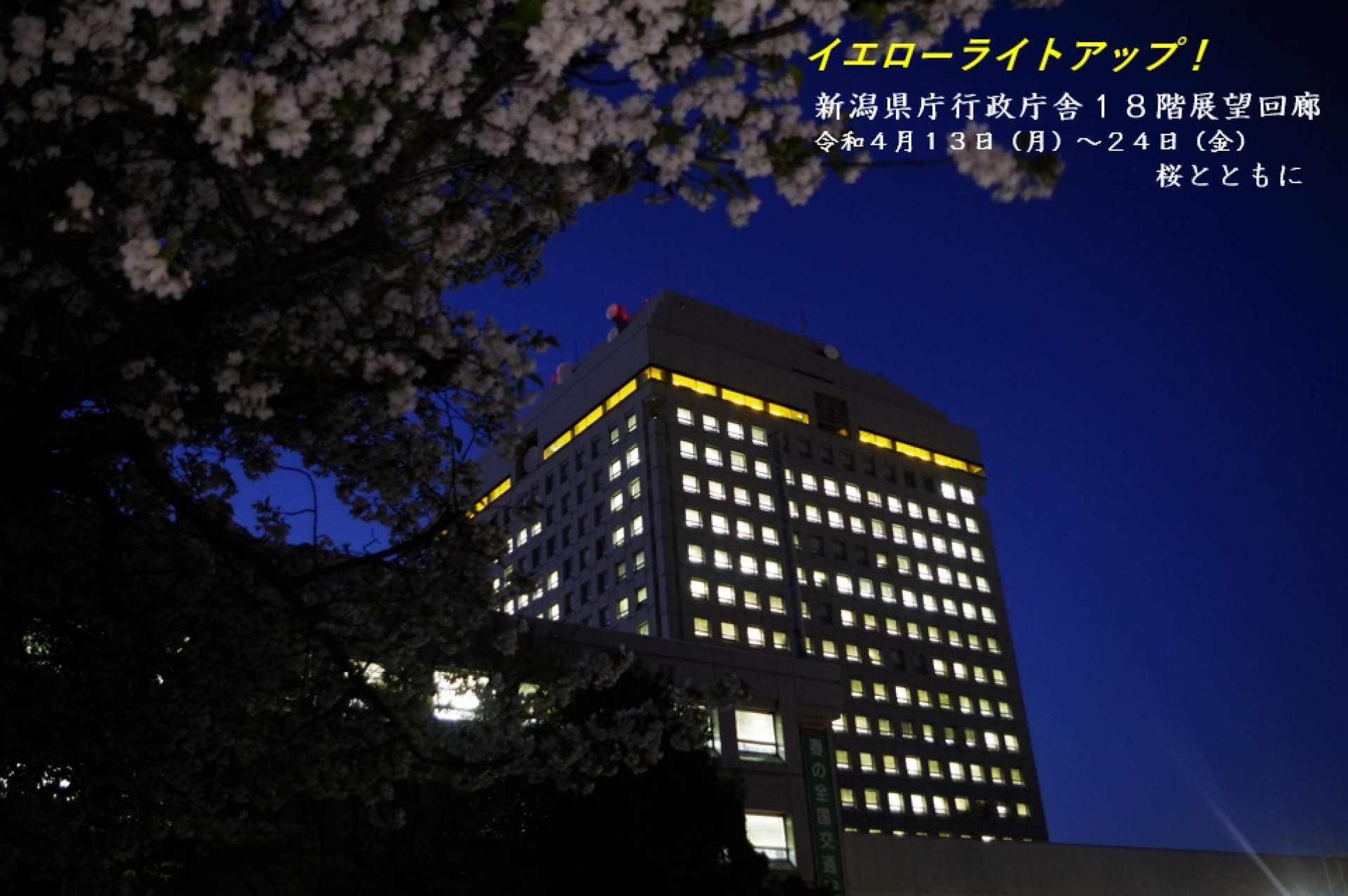 イエローライトアップ　新潟県庁